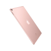 Cras viverra rhoncus - Image 2