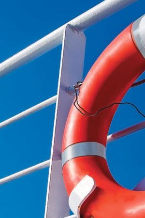 01 Imo Symbol With Text